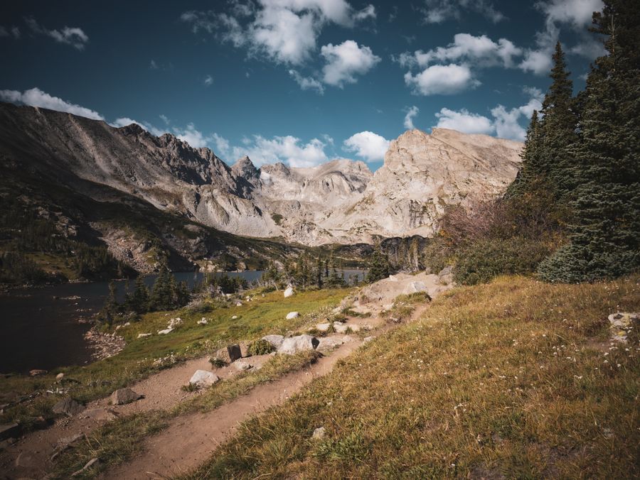 Dog sitting in front of scenic mountain landscape